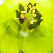 账号交易安全的网络ddos攻击软件